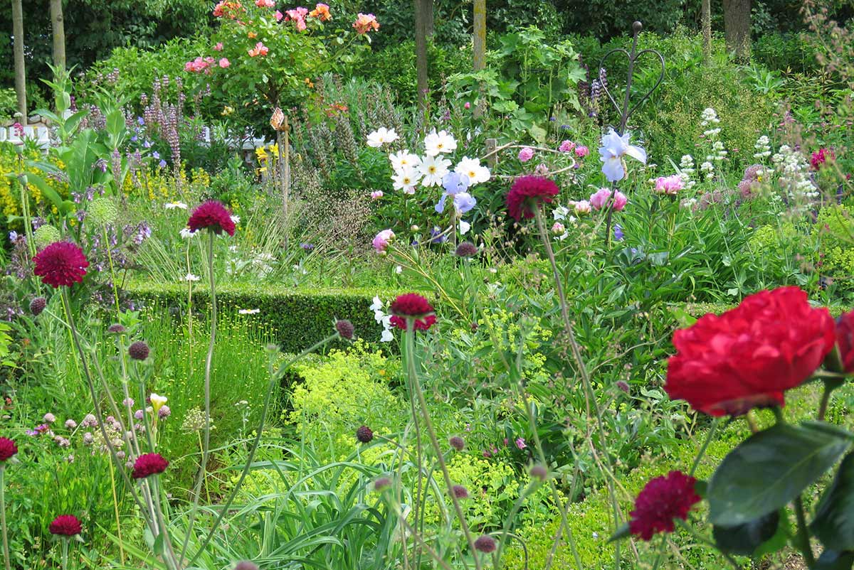 Bauerngarten, Haus Quitte, Ira Schwarz