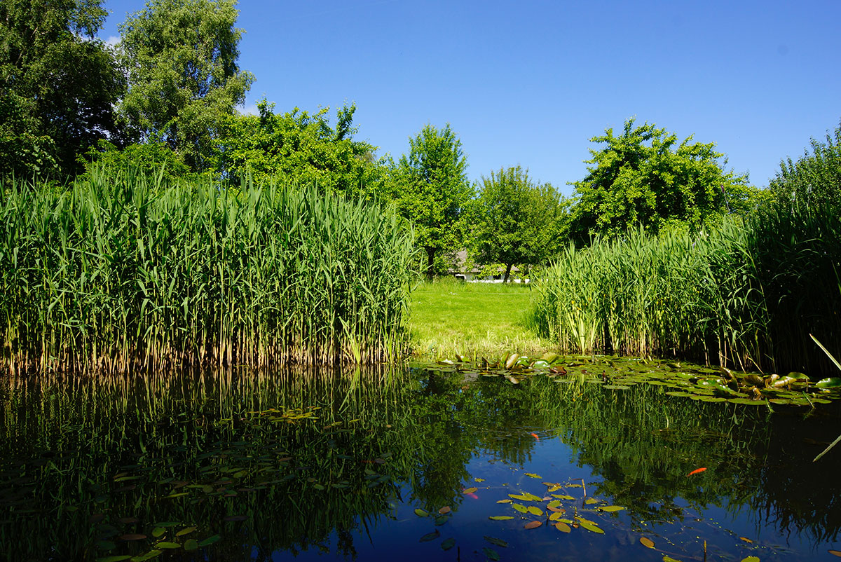 Teich, Haus Quitte, Ira Schwarz