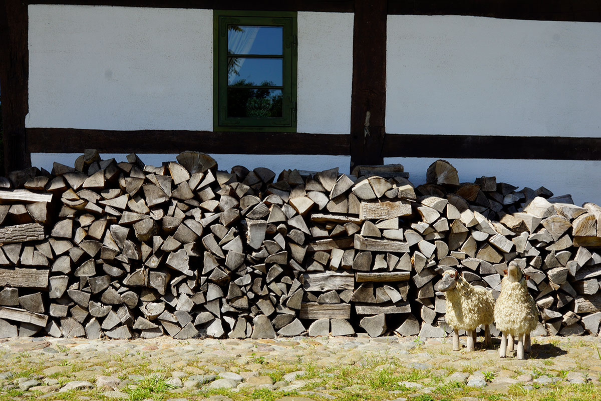 Haus Quitte, Ira Schwarz, Kühlungsborn